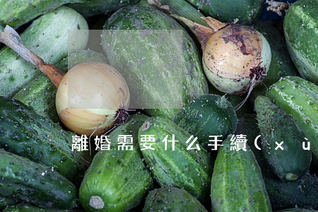 離婚需要什么手續(xù)帶什么東西