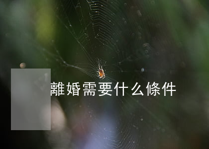 離婚需要什么條件