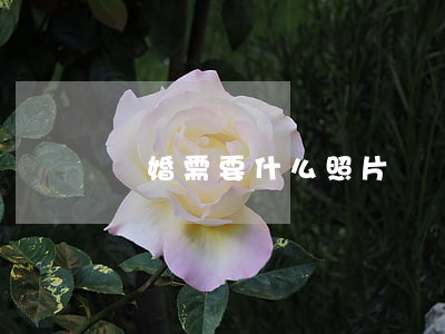 離婚需要什么照片