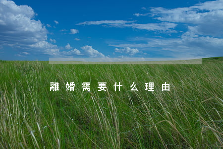離婚需要什么理由
