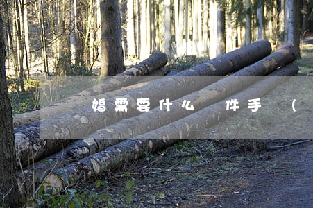 離婚需要什么證件手續(xù)