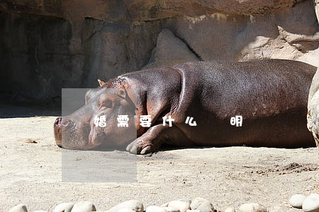 離婚需要什么證明