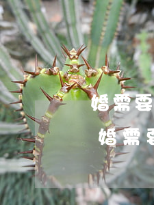 離婚需要帶戶口本嗎(女方戶口已經遷到男方離婚需要帶戶口本嗎)