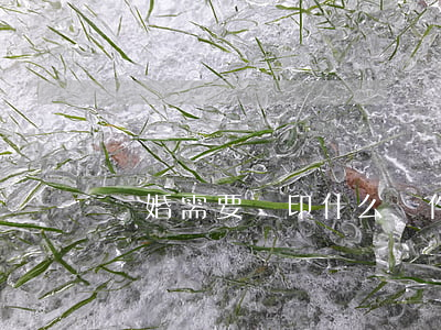 離婚需要復印什么證件