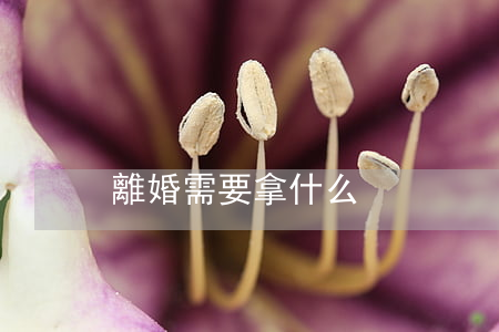 離婚需要拿什么