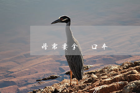 離婚需要拿戶口本嗎