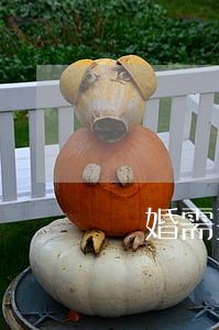 離婚需要知道什么條件(離婚的條件)