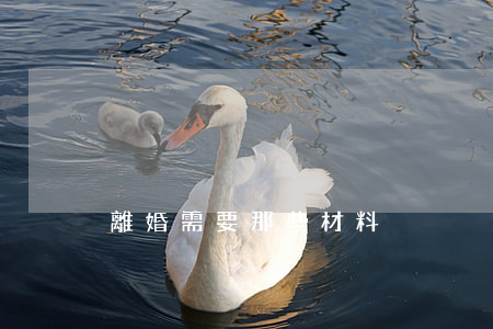離婚需要那些材料