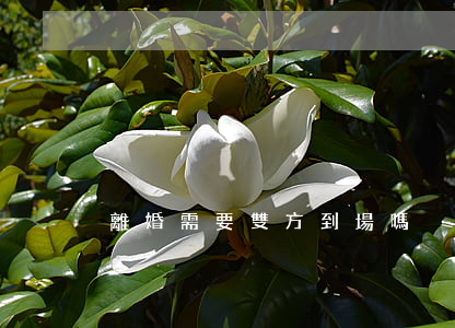離婚需要雙方到場嗎