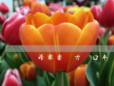 離婚需要雙方戶口本嗎