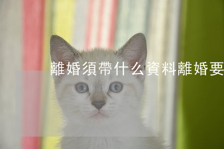 離婚須帶什么資料(離婚要帶什么材料)