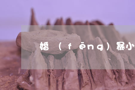 離婚風(fēng)暴小說(shuō)