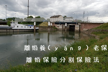 離婚養(yǎng)老保險怎么分割法律上(離婚 保險分割 保險法)