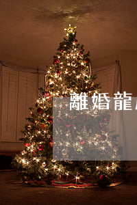 離婚龍鳳胎孩子怎么判