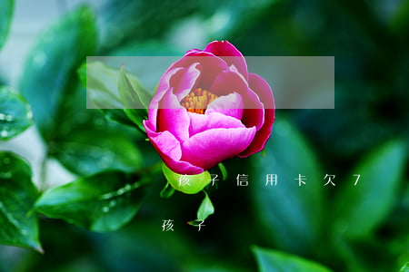 離異帶孩子信用卡欠7萬怎么上岸-離婚負債帶孩子