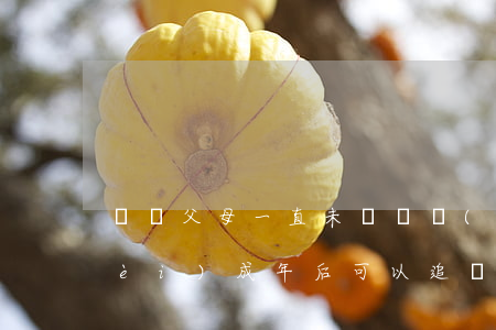 離異父母一直未給撫養(yǎng)費(fèi)成年后可以追償嗎