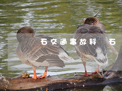 離石交通事故科(離石區(qū)交通局)