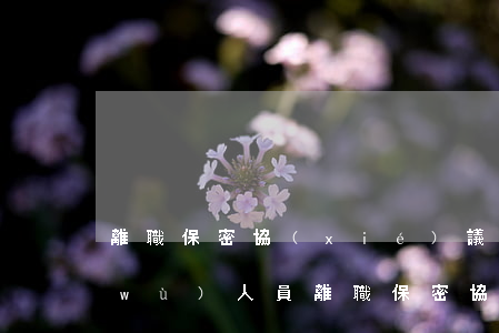 離職保密協(xié)議(財(cái)務(wù)人員離職保密協(xié)議)