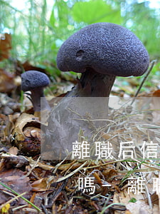 離職后信用卡逾期公積金會(huì)被扣嗎-離職后信用卡逾期公積金會(huì)被扣嗎怎么辦