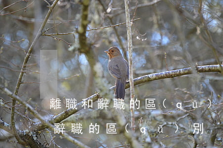 離職和辭職的區(qū)別(在編教師離職和辭職的區(qū)別)