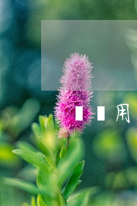離職用簽勞動合同解除協(xié)議嗎