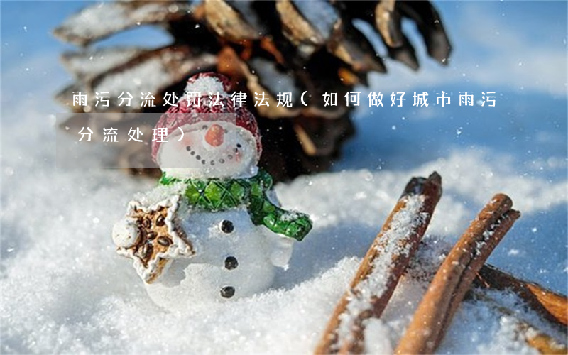 雨污分流处罚法律法规(如何做好城市雨污分流处理)