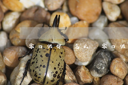 零口供律師怎么樣(零口供律師怎么樣)
