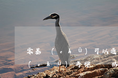 零基礎(chǔ)可以通過司法考嗎(零基礎(chǔ)考律師資格證有可能考上嗎)