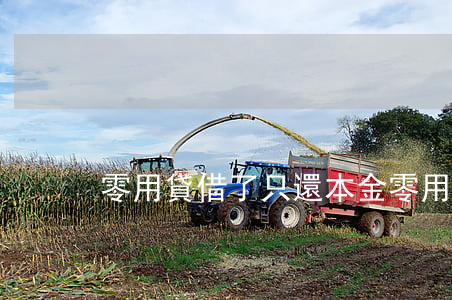 零用貸借了只還本金(零用貸聽說很多人不還)