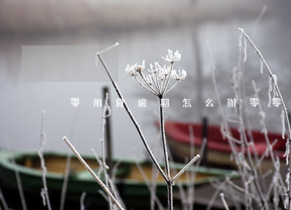 零用貸逾期怎么辦(零零花逾期了怎么辦)