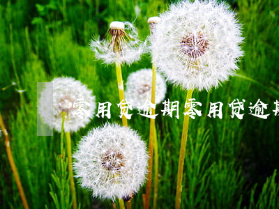 零用贷逾期(零用贷逾期一天要紧不)