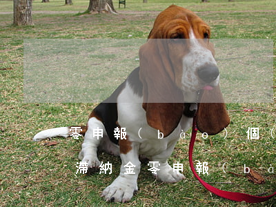 零申報(bào)個(gè)人所得稅逾期滯納金(零申報(bào)個(gè)人所得稅逾期滯納金)