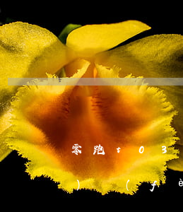 零跑t03免息分期-零跑免息手續(xù)費(fèi)