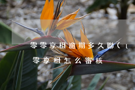 零零享租逾期多久聯(lián)系家人(零零享租怎么審核)