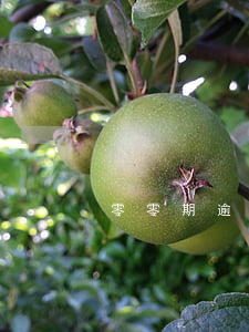 零零期逾期怎么辦(零零期還能用嗎)