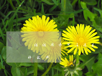 電信信用卡可以透支嗎(信用卡透支使用了有什么影響嗎)