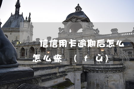 電信信用卡逾期后怎么辦(逾期停用的信用卡怎么恢復(fù))