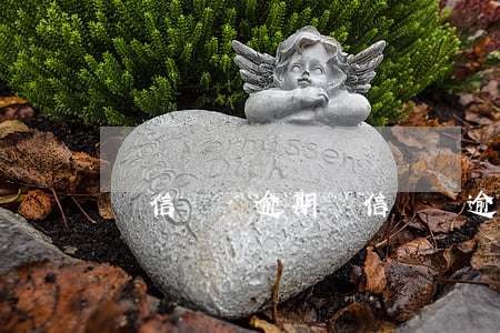 電信寬帶逾期(電信寬帶逾期欠費怎么算)