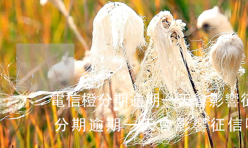 電信橙分期逾期一天會影響征信嗎-電信橙分期逾期一天會影響征信嗎?