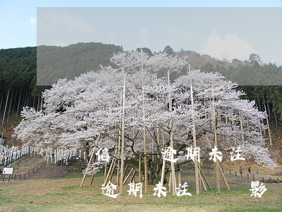 電信號碼逾期未注銷會影響征信嗎-電信號碼逾期未注銷會影響征信嗎知乎