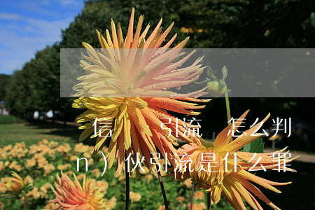電信詐騙引流會怎么判處(給詐騙團(tuán)伙引流是什么罪)