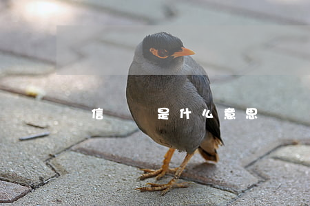 電信詐騙是什么意思