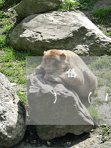 電信詐騙簽訂合同生效嗎(電信網(wǎng)絡(luò)詐騙司法解釋可以適用于合同詐騙罪嗎)