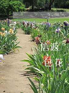 電信返紅包花唄顯示逾期什么意思-電信返紅包花唄顯示逾期什么意思啊