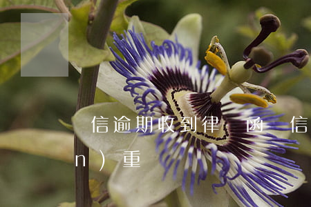 電信逾期收到律師函(電信律師函來嚴(yán)重嗎)