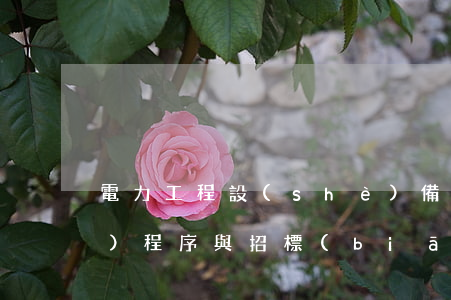 電力工程設(shè)備的招標(biāo)程序與招標(biāo)文件文本