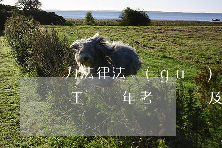 電力法律法規(guī)考試題庫(求高級電工證歷年考試試題及答案)
