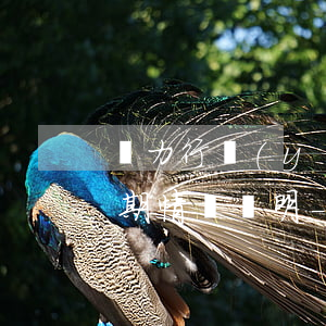 電力行業(yè)應(yīng)收賬款逾期情況說明-電力行業(yè)應(yīng)收賬款逾期情況說明怎么寫
