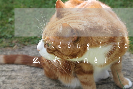 電動(dòng)車(chē)撞人骨折怎么賠我沒(méi)錢(qián)怎么辦