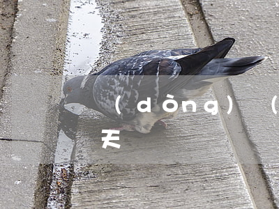 電動(dòng)車(chē)貸款逾期了幾天